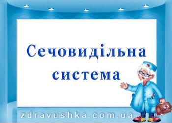 ПРОГРАМИ профілактики порушень та відновлення функції СЕЧОВИДІЛЬНОЇ системи