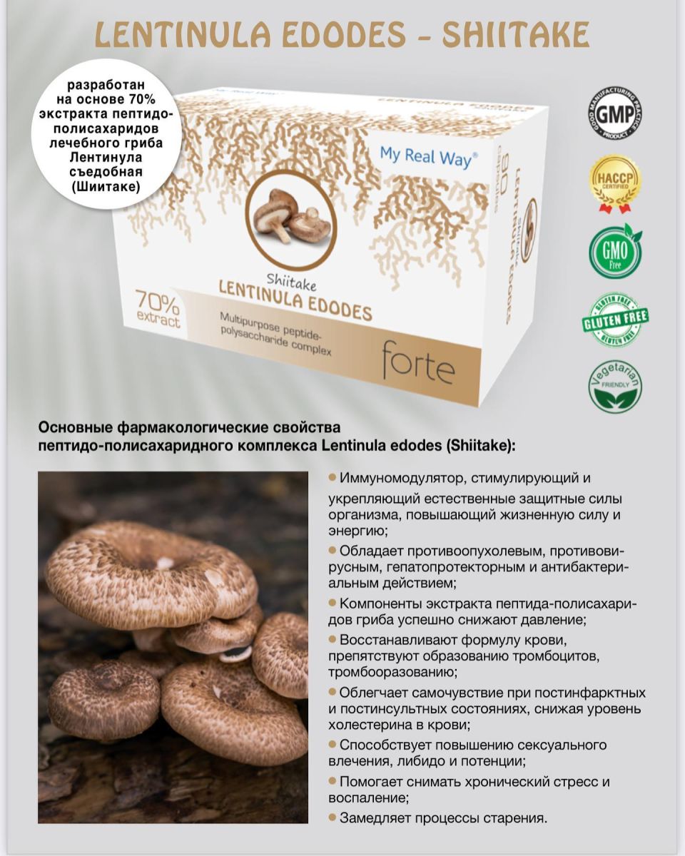 Lentinula edodes forte ᐉ 70% экстракт гриба Шиитаке