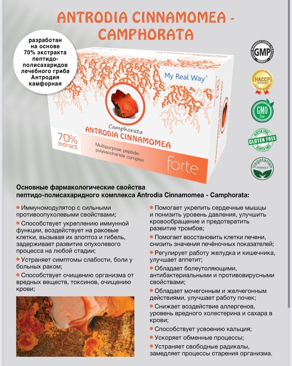 Antrodia Camphorata forte ᐉ 70% экстракт гриба Антродия камфорная
