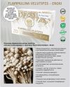 Flammulina velutipes forte ᐉ 70% экстракт гриба Эноки