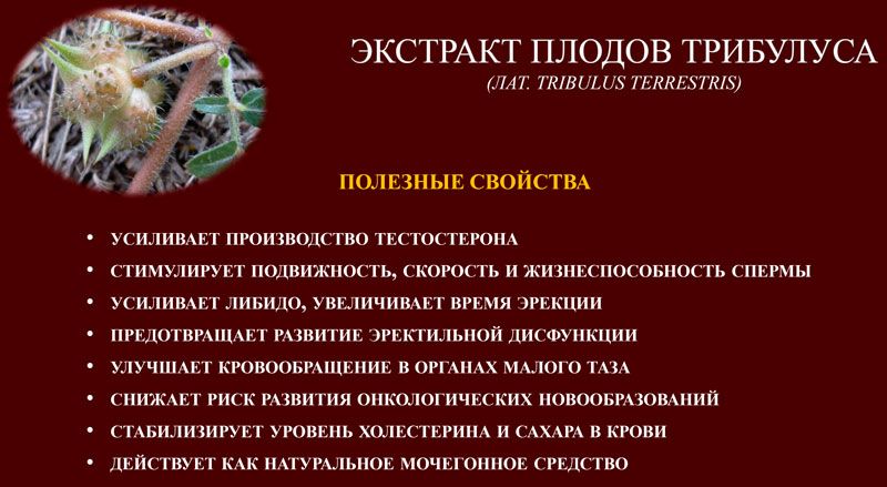 ActiManTIDE PLUS forte 18+ ᐉ Для усиления потенции