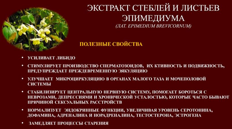 ActiManTIDE PLUS forte 18+ ᐉ Для усиления потенции