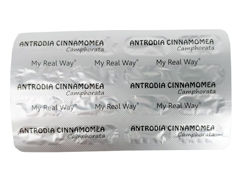 Antrodia Camphorata forte ᐉ 70% экстракт гриба Антродия камфорная