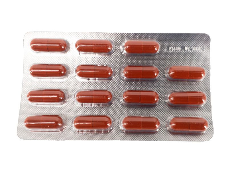Antrodia Camphorata forte ᐉ 70% экстракт гриба Антродия камфорная