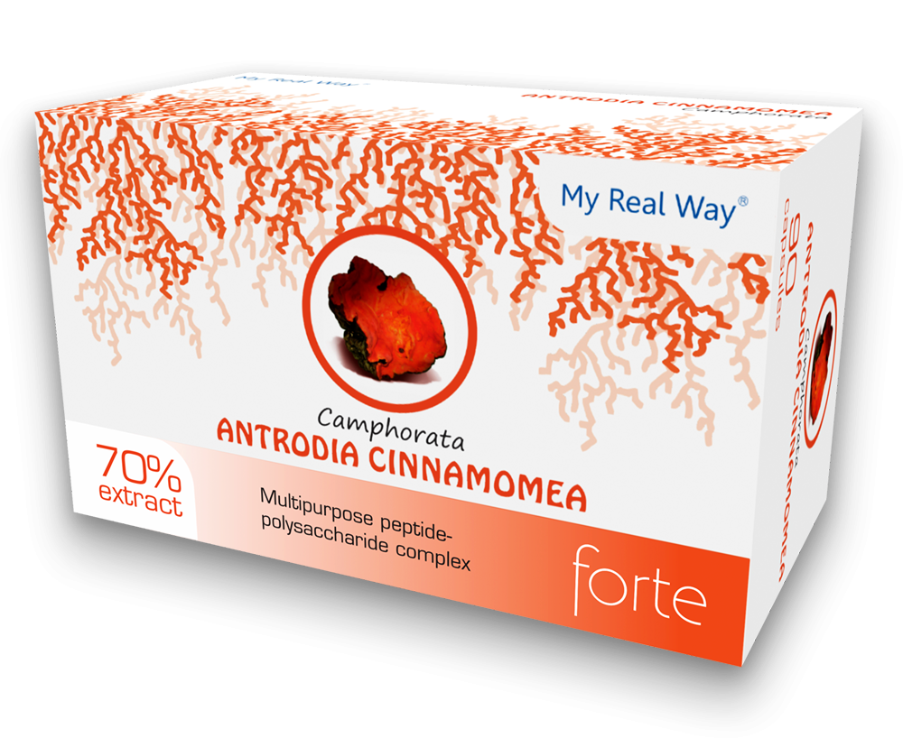 Antrodia Camphorata forte ᐉ 70% экстракт гриба Антродия камфорная