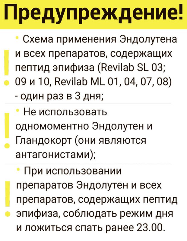 Endoluten ᐉ Биорегулятор эпифиза