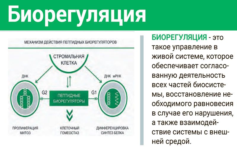 Revilab SL № 08 ᐉ Для сечовидільної системи