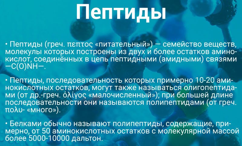 Suprefort ᐉ Для поджелудочной железы