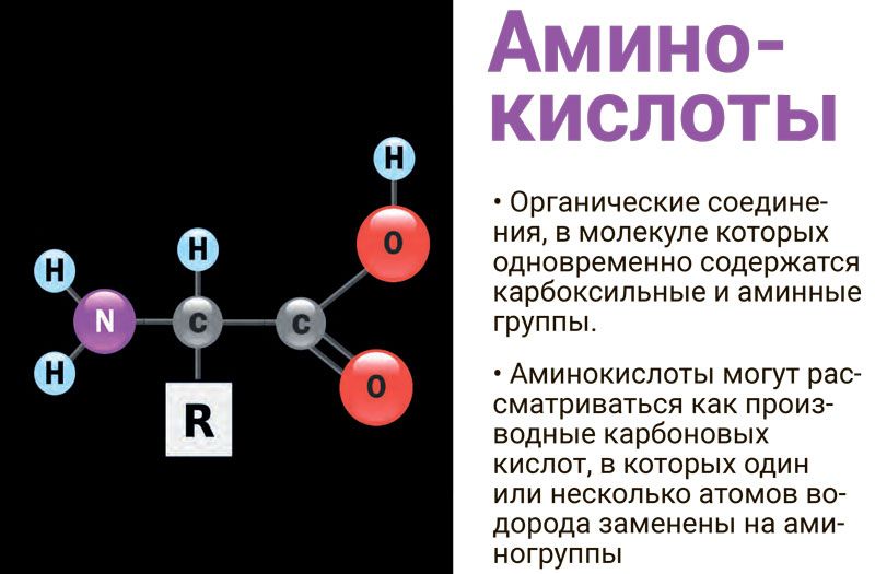 Жидкий пептидный комплекс № 13 ᐉ Для восстановления кожи