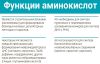 Revilab ML № 06 ᐉ Для желудочно-кишечного тракта