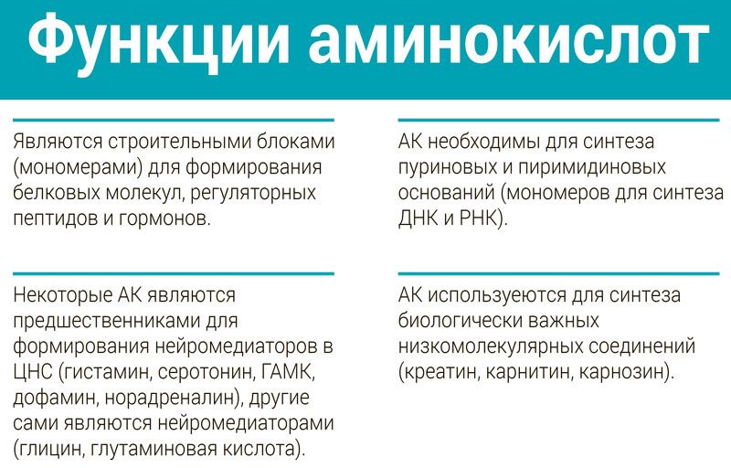 Жидкий пептидный комплекс № 03 ᐉ Для иммунной системы