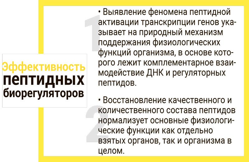 Chitomur ᐉ Для сечового міхура