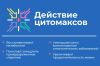 Endoluten ᐉ Биорегулятор эпифиза