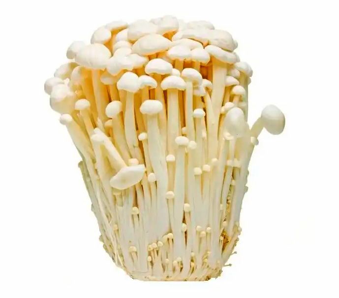 Flammulina velutipes forte ᐉ 70% экстракт гриба Эноки