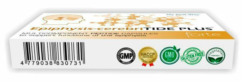 Epiphysis-cerebriTIDE PLUS forte ᐉ Для эпифиза