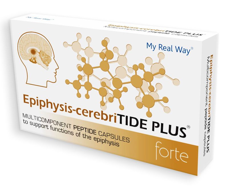 Epiphysis-cerebriTIDE PLUS forte ᐉ Для эпифиза