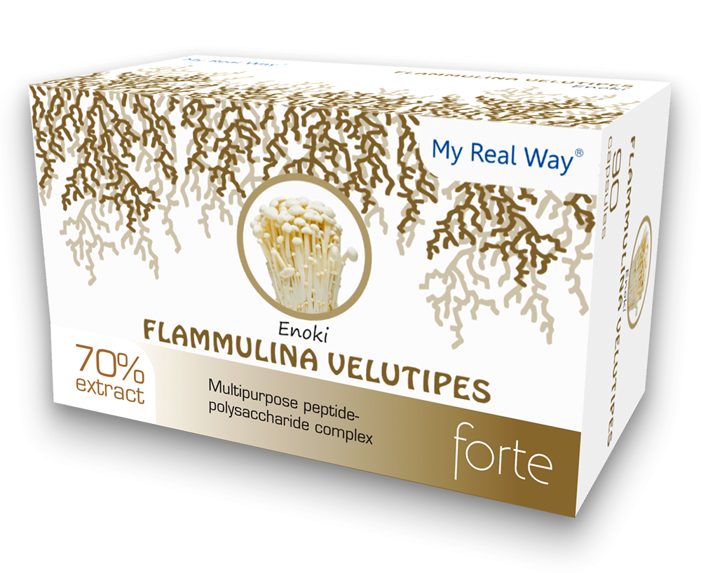 Flammulina velutipes forte ᐉ 70% экстракт гриба Эноки
