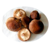 Lentinula edodes forte ᐉ 70% экстракт гриба Шиитаке