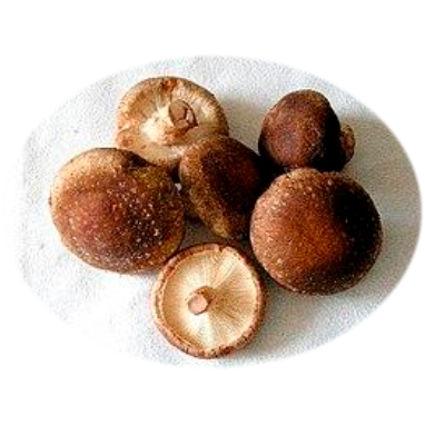 Lentinula edodes forte ᐉ 70% экстракт гриба Шиитаке