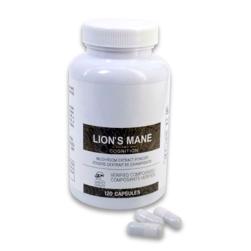Lion’s Mane ᐉ Иммуномодулятор ᐉ Онкопротектор