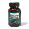 Pancreatic Enzymes ᐉ Панкреатичні ферменти для підшлункової залози