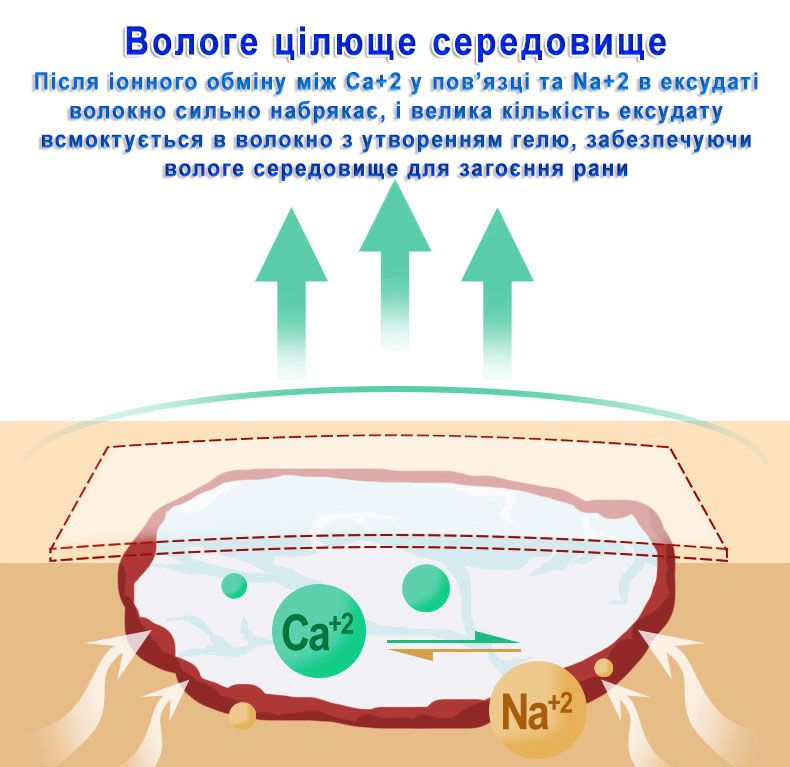 Повязка-компресс альгинатная ᐉ Раневая ᐉ Противопролежневая ᐉ 5 см х 5 см