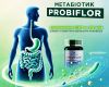 Probiflor ᐉ Для комплексной поддержки пищеварительной системы